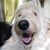 Sherry Steeves's profile image