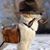 Jeff Kincaid Sr.'s profile image