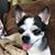 Francisco Jose StoneMiller-Memorial's profile image