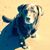 Cathy Redman's profile image