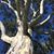 Lynda Schumacher's profile image