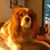 Tammy Crawford McFarland's profile image