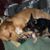 Connie Garate's profile image