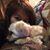 Moo Tindal's profile image