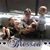 Sue Gainer Schaller's profile image