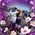 Debra Reich's profile image