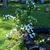 Hermina M Huff Turpin's profile image