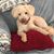Boo Miriam Morsack's profile image