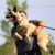 Janeen Baggette's profile image