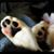 Karen M Barbe's profile image
