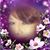 Dalia Vallin's profile image