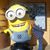 Lisa Pyle Grimaldi's profile image