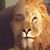 Jamie Brew's profile image