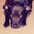Charlie Kessler's profile image