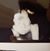 Liz Miller's profile image