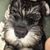Michelle Bell's profile image