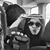 Margarita M Licon's profile image