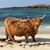 Cheryl Cherrywell Blanche's profile image