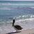 Linda Freeman's profile image