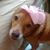 Alma G.'s profile image