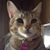Christina Teegarden's profile image