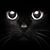 Lupe Gutierrez's profile image