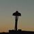 Richard Stine's profile image