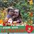 Carmen Stalter's profile image