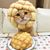 David Z Lucio's profile image