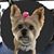 Angel Tyson's profile image