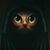 Anna Carter's profile image
