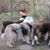 Susan Eble's profile image