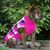 Donald Lizotte's profile image