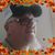J Lee Clements's profile image