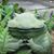 Anne Zetterberg's profile image