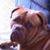 Rod Carri's profile image