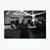 Payton Roach's profile image