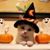 Esme Corbett's profile image