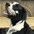 Bruce Lieberman's profile image