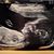 Denise N Glen Payne's profile image