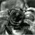 Paul J. Nepote's profile image