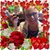 Penny Skoglund Fauser's profile image