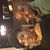 Teneille Johnson Booker's profile image