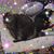 Harry Louis Zinser's profile image