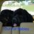 Sharon Weinhold Binkley's profile image