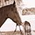 Crystal Spires Wiley's profile image