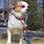 Kelley Buckley's profile image