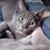 Maggie Carriker's profile image