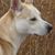 Jill Marciniak Christopulos's profile image