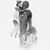 Susan Higgins Adell's profile image